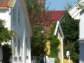 P1100590