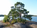 P1100752