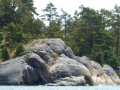 P1110034